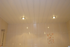 Отделка ванны, потолки, светодиодные лампы